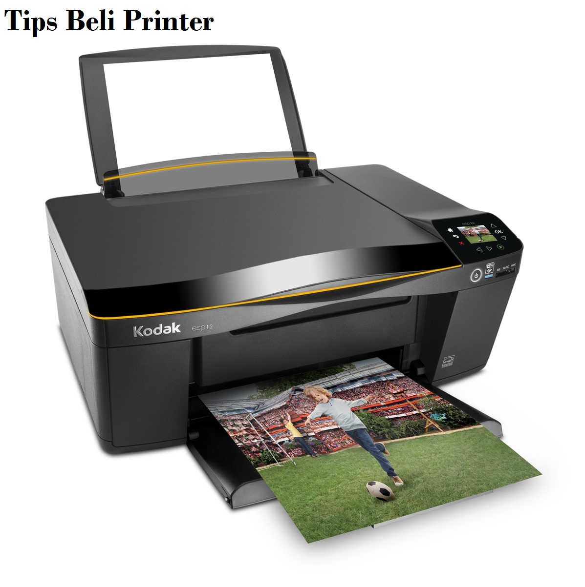 Tips Beli Printer